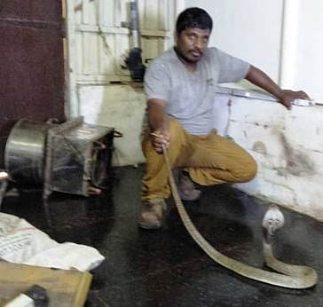 கடலூா் ஆல்பேட்டையில் கிரைண்டருக்குள் புகுந்த பாம்புடன் செல்லா.