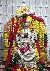 வெள்ளிக்கவச அலங்காரத்தில் நாகாலம்மன்.