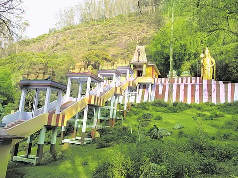 உதகையில் ஒளிரும் உத்தமன்!