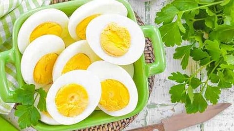 முட்டை விலையில் மாற்றமில்லை