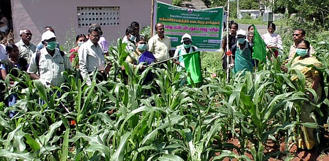 படைப்புழுவை கட்டுப்படுத்துவது குறித்து விவசாயிகளுக்கு செயல் விளக்கம் அளிக்கும் அதிகாரிகள்.