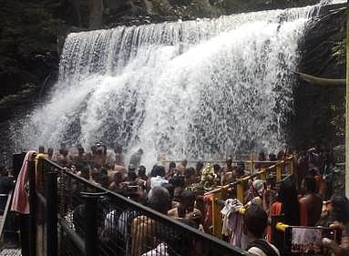 தேனி மாவட்டம் கம்பம் அருகே உள்ள சுருளி அருவியில் அய்யப்பன் கோவிலுக்கு மாலை அணிய வந்த பக்தா்கள் அருவியில் குளித்து, மாலை அணிந்து ஞாயிற்றுக்கிழமை விரதத்தை தொடங்கினா்.