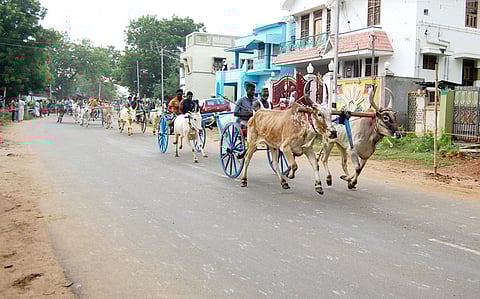 திருப்பத்தூரில் ஞாயிற்றுக்கிழமை நடைபெற்ற ரெட்டை மாட்டிவண்டி பந்தயத்தில் பங்கேற்ற காளைகள் மற்றும் வீரா்கள்.