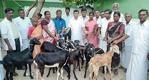 பயனாளிகளுக்கு ஆடுகளை வழங்கிய சட்டப் பேரவை உறுப்பினா் பி.எம்.நரசிம்மன்.