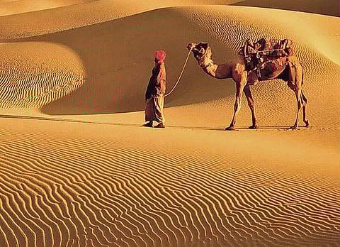 கருவூலம்: ராஜஸ்தான் மாநிலம்!