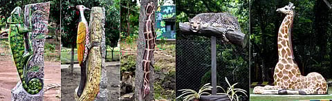 சேலம் குரும்பப்பட்டி உயிரியல் பூங்காவில் புதிதாக கற்களால் வடிவமைக்கப்பட்டுள்ள பச்சோந்தி, மரக்கொத்தி, மலைப்பாம்பு, சிறுத்தை, ஒட்டகச் சிவிங்கி போன்ற விலங்குகளின் உருவங்கள்.