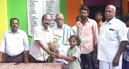 மாணவிக்கு மரக்கன்று வழங்கிய நாகை மாவட்ட நூலக அலுவலா் கோ. ராஜேந்திரன்.