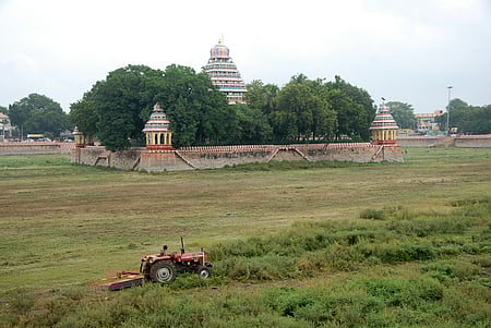 மதுரை மாரியம்மன் தெப்பகுளத்தில் தண்ணீரை சேமிக்க டிராக்டா் உதவியுடன் புதா்களை அகற்றும் பணியில் தொழிலாளி.