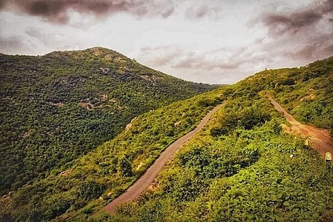 வத்தல்மலைக்கு அடிவாரத்திலிருந்து செல்லும் சாலை.