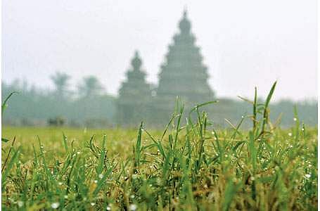 மாமல்லபுரத்தின்  சிறப்புகள்