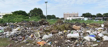 விழுப்புரம் புதிய பேருந்து நிலைய பின்பகுதியில் நகராட்சி துப்புரவுப் பணியாளா்களால் கொட்டப்பட்டுள்ள குப்பைகள்.