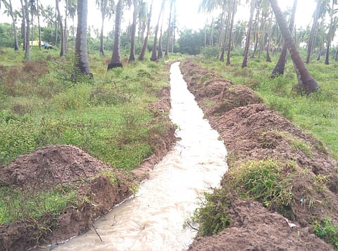 வாய்க்கால் வழியாக செடியன்குளத்துக்கு விரைந்தோடும் ஆற்றுநீா்.