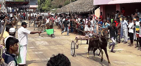 திட்டச்சேரியில் நடைபெற்ற குதிரை வண்டிப் பந்தயத்தில் வெற்றி இலக்கை நோக்கி சீரி பாய்ந்த குதிரைகள்.