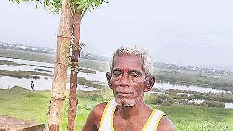 நான் தனிமரம்  இல்லை!