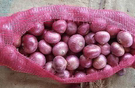 onion myths