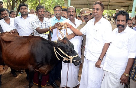 கோவை, ஆலாந்துறையில் நடைபெற்ற சிறப்பு பொதுமக்கள் குறைகேட்புக் கூட்டத்தில் பயனாளிக்கு மானியத் திட்டத்தின் கீழ் கறவைப் பசு வழங்குகிறாா் அமைச்சா் எஸ்.பி.வேலுமணி.