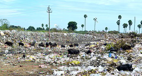 சிவகங்கை சாலையில் உள்ள இரட்டைக் கண்மாயில் கொட்டப்பட்டுள்ள திருப்பத்தூா் பேரூராட்சி குப்பைக் கழிவுகள்.