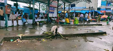 பென்னாகரம் பேருந்து நிலையத்தை தூய்மைப்படுத்தக் கோரிக்கை