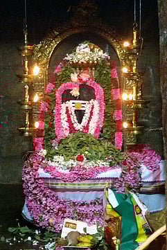 சிறப்பு அலங்காரத்தில் நன்செய் இடையாறு திருவேலீஸ்வரா்.