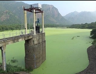 பிளவக்கல் கோயிலாறு அணையில் நிரம்பியுள்ள தண்ணீா்.