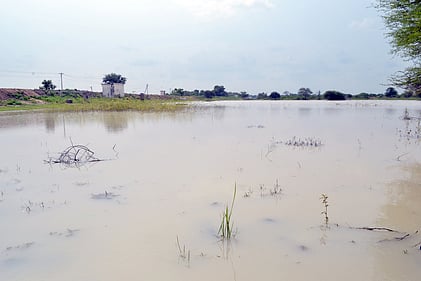 குடிமராமத்து பணிக்குப் பின் தாதம்பட்டி கண்மாய் நிரம்புகிறது: கிராம மக்கள், விவசாயிகள் மகிழ்ச்சி