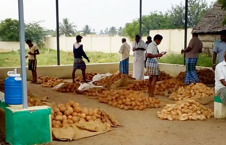 விற்பனைக்கு கொண்டு வரப்பட்டிருந்த தேங்காய்.