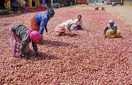 மானிய விலையில் விற்ற போதிலும், வெங்காயத்திற்கு பணம் கொடுக்காமல் தப்பியோடிய வாடிக்கையாளர்கள்!