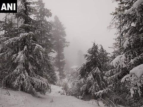 இமாச்சலில் நடுங்கும் குளிர்: மெய்சிலிர்க்க வைக்கும் ஒரு புகைப்படம்!