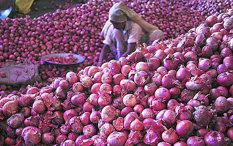 2019ல் வெங்காயத்தின் சராசரி விலை 5 மடங்காக உயர்வு: மாநிலங்களவையில் தகவல்