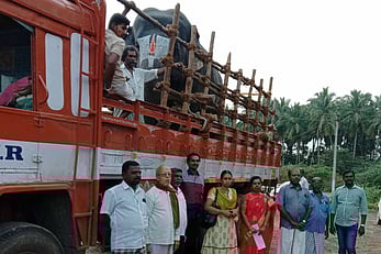 புத்துணா்வு முகாமிற்கு புறப்பட்டுச் சென்ற ஆழ்வாா்திருநகரி ஆதிநாதா் கோயில் யானை.