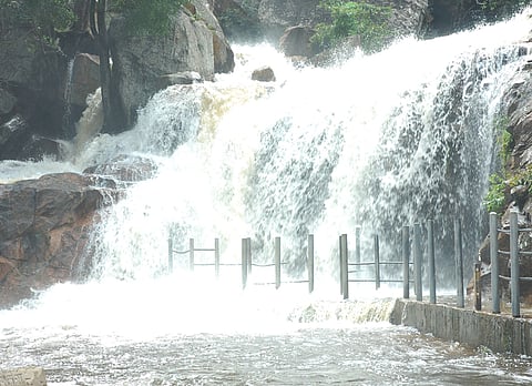 பஞ்சலிங்கம்  அருவியில்  ஏற்பட்டுள்ள  வெள்ளப் பெருக்கு.