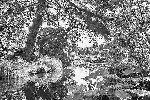 பெயர் சூட்டிய பெரியார்- கரோலஸ் லினேயஸ்! மு.கலிய பெருமாள்