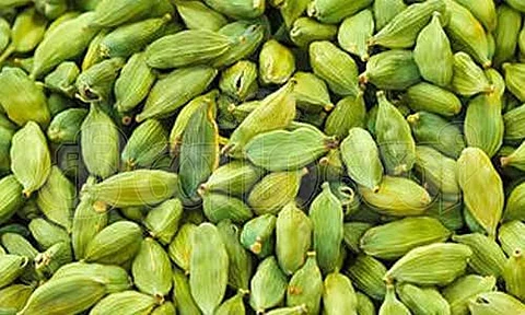 புகைப் பழக்கத்திற்கு தீர்வாகும் ஏலக்காய்! இதர மருத்துவக் குணங்கள்?