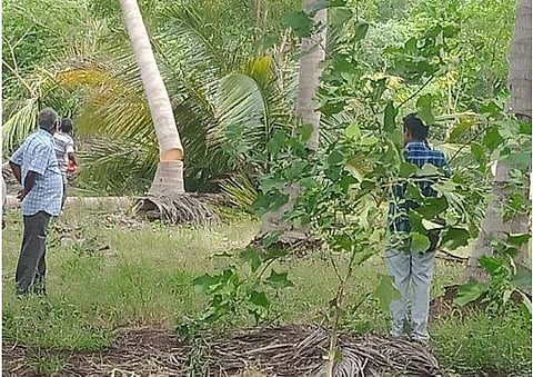 விவசாயப் பண்ணைகளை பாதுகாக்க வேண்டும்