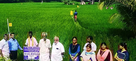 திருப்பாச்சேத்தியில் வேளாண் பணிகளை செவ்வாய்க்கிழமை ஆய்வு செய்த உப்பாா் நதி வடிநிலப் பகுதி திட்ட மாநில ஆலோசகா் ஷாஜகான். உடன் வேளாண் துறை அலுவலா்கள்.