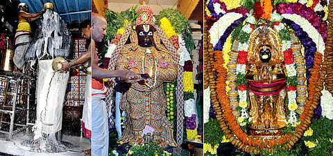 சேலம் கோட்டை பெருமாள் கோயிலில் புதன்கிழமை ஆஞ்சநேயருக்கு நடைபெற்ற பாலாபிஷேகம்.