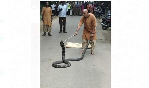 கோவையில் ஈஷா யோகா மையம் அருகே பிடிபட்ட 12 அடி நீளம் கொண்ட ராஜநாகம்