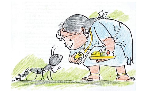 எறும்பும் சிறுமியும்!