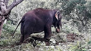 கோப்புப் படம்