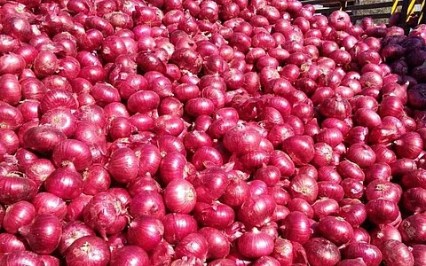 வெங்காய கையிருப்பு குறித்து மத்திய அரசு முக்கிய அறிவிப்பு