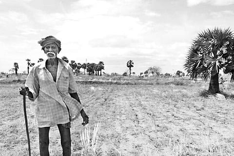 விவசாயிகளின் வாக்குகளை  அறுவடை செய்யப்போவது யார்?