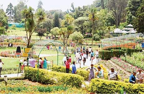 கொடைக்கானல் செல்ல திட்டமிடுவோர் கவனத்துக்கு!