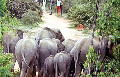 கோப்புப் படம்