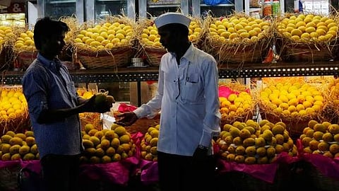 உஷார்! கல் வைத்து பழுக்கப்பட்ட மாம்பழங்களை வாங்காதீங்க! எப்படி கண்டுபிடிப்பது (விடியோ)