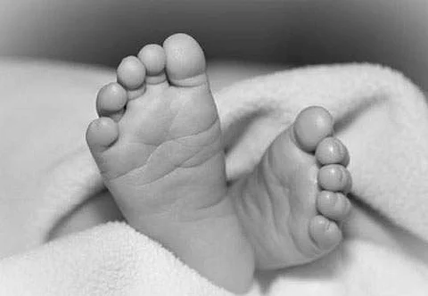 ஜார்ஜியாவில் விமான விபத்து: 2 குழந்தைகள் உள்பட 5 பேர் பலி
