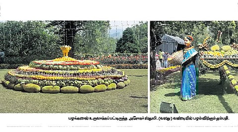 குன்னூர் சிம்ஸ் பூங்கா பழக் கண்காட்சி நிறைவு: ஆயிரக்கணக்கானோர் கண்டுகளிப்பு