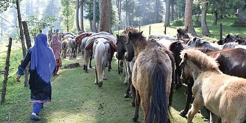கதுவா வழக்கில் மறந்த கதை ஒன்று உண்டு: அது விட்டுச் செல்லும் செய்தி என்ன?