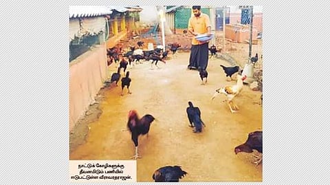 பறவைகளும் பசுக்களும் எனது தோழர்கள்! ஒருங்கிணைந்த பண்ணையில் கோழி, காளை, குதிரை வளர்ப்பில் இளைஞர் ஆர்வம்
