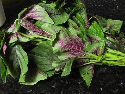 உடலில் உள்ள அதிகப்படியான கொழுப்பைக் கரைக்க உதவும் அருமருந்து