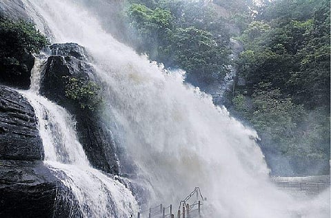 குற்றாலம் ஐந்தருவியில் குளிக்க தடைநீக்கம்: மக்கள் உற்சாகம்